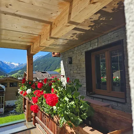 Fernerblick 公寓 *